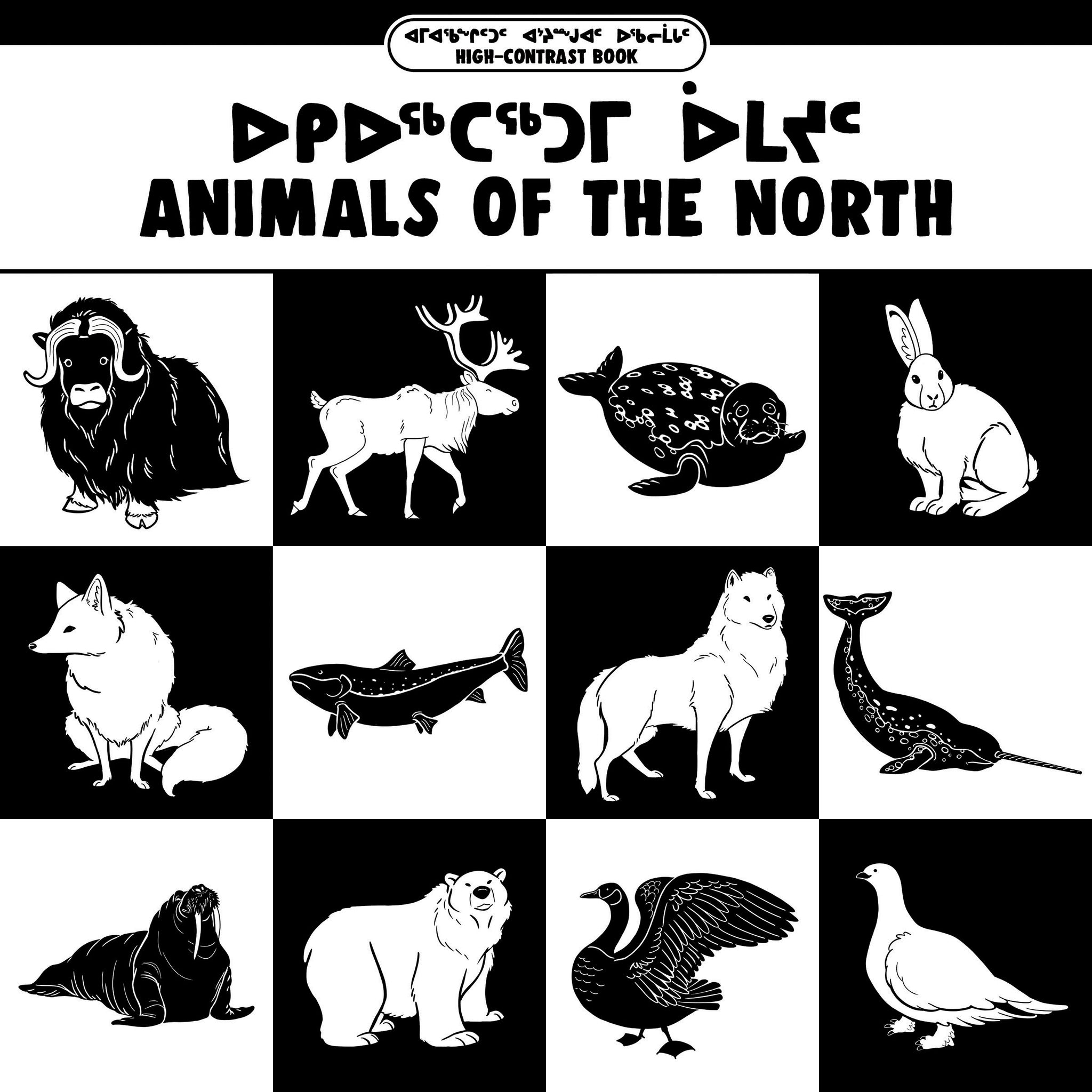 Cover image for Animals of the North ISBN 9781774501771